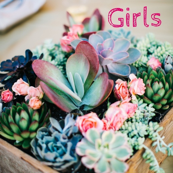 Not for sale - Picture 1 of 1